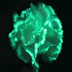 Фото и картинки светящихся красок и люминофоров - Комплект Glow Flowers Green для цветов